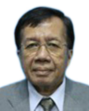 HP Dato Abdul Majid Mohamad